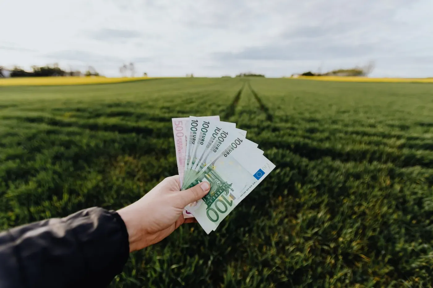 Finanțări Europene pentru Procesarea și Marketingul Produselor Agricole: Oportunități pentru Antreprenorii Români