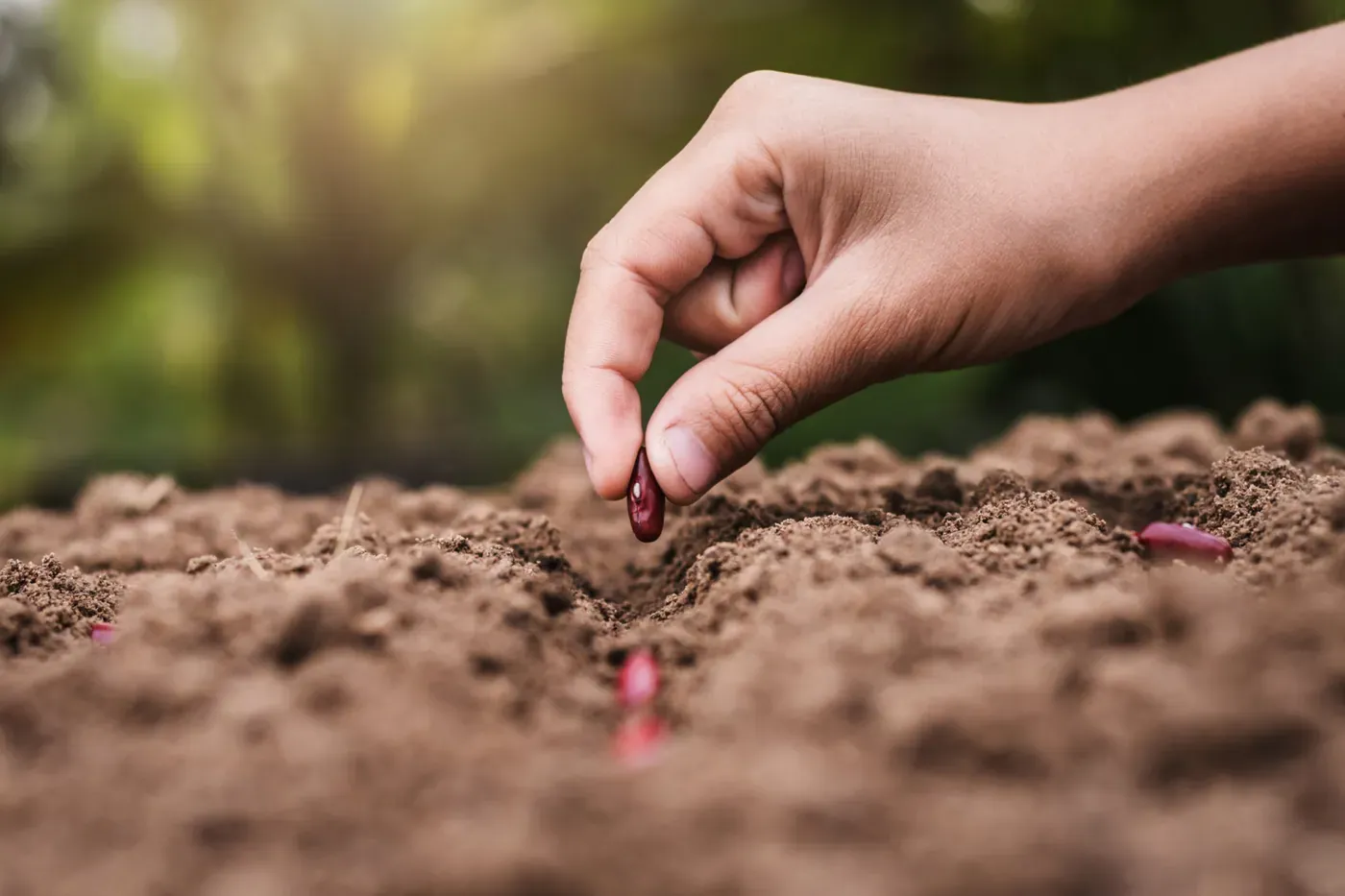 Over 525 million euro in funding for agri-food processing: opportunities and challenges for entrepreneurs