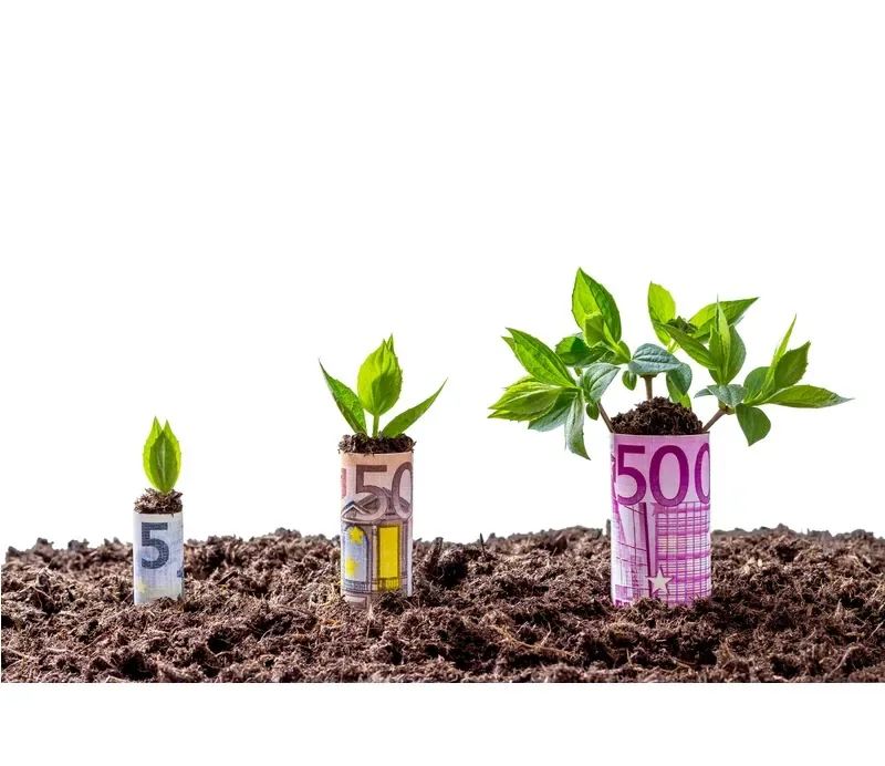 Fonduri UE 2026: 151,3 milioane EUR pentru fermierii români în sectorul legume și cartofi – Ghid practic și calendar de depunere AFIR