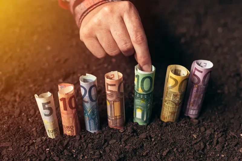 Fonduri UE 2026: Până la 1 milion EUR pentru fermierii români în producția de hamei și struguri de masă