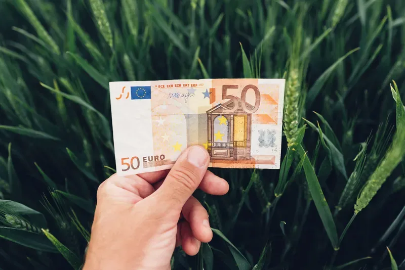 EU grants of up to 50,000 EUR for small farms in 2026: detailed AFIR DR-14 guide