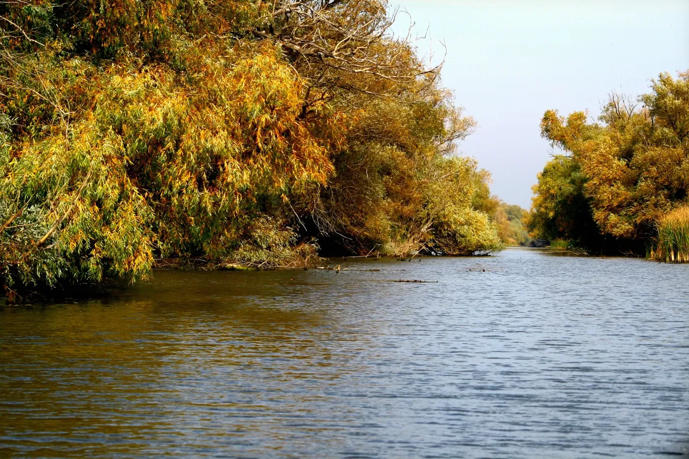 Orizont Europa Nature 2027: 230 mil. € pentru biodiversitate, living labs de 10 mil. €, termen 14 ianuarie