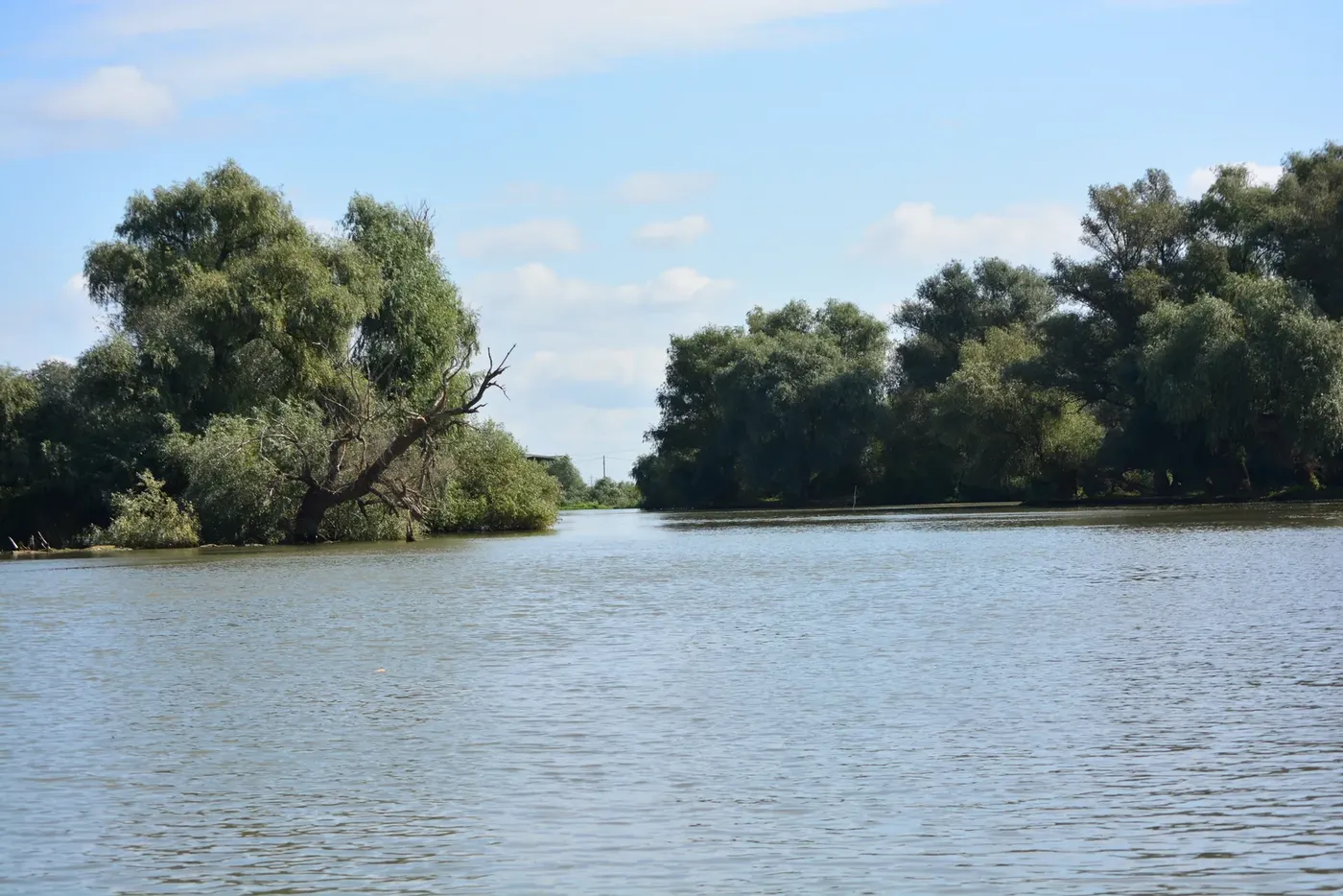 PR Sud-Est ITI Delta Dunării: până la 200.000 € pentru microîntreprinderi, din 21 decembrie